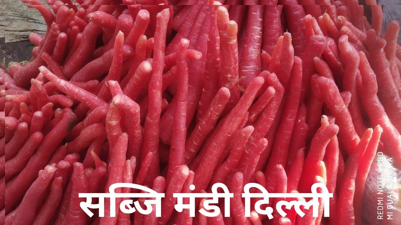 Sabji mandi Delhi Vegetable🥦🥕 || Veer ji store wale ||Jagjeet