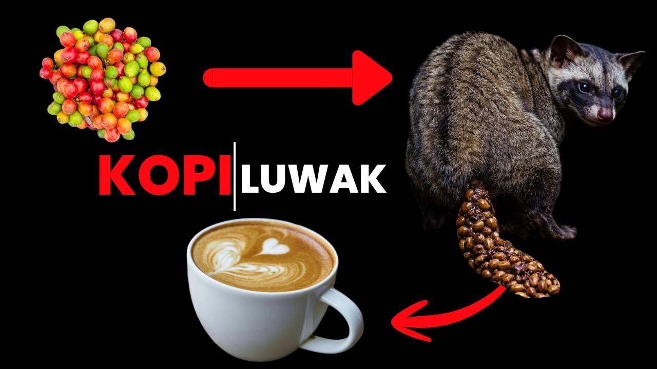 The Most Disgusting Way to Make Delicious Coffee