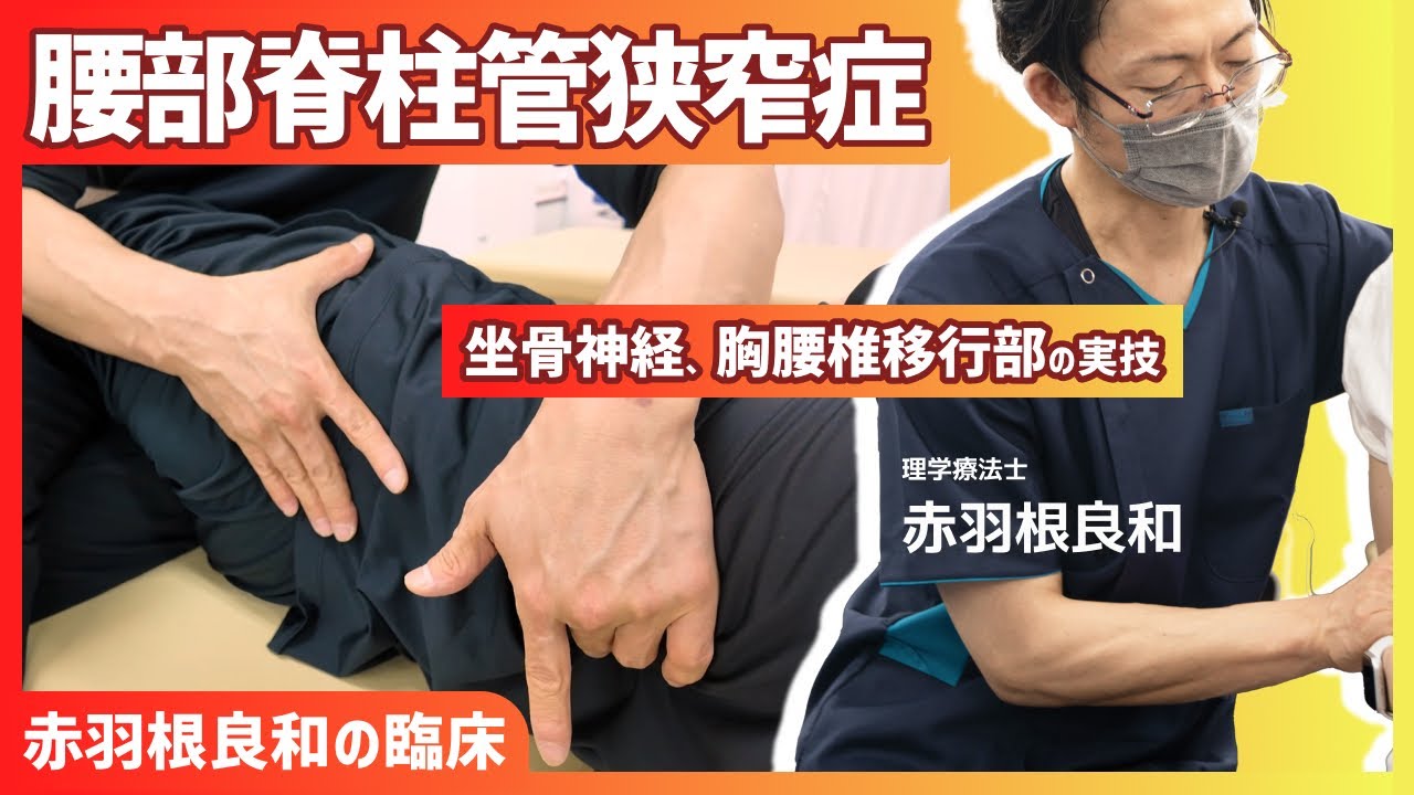 【有料級】腰部脊柱管狭窄症の治療！坐骨神経、胸腰椎移行部の実技！