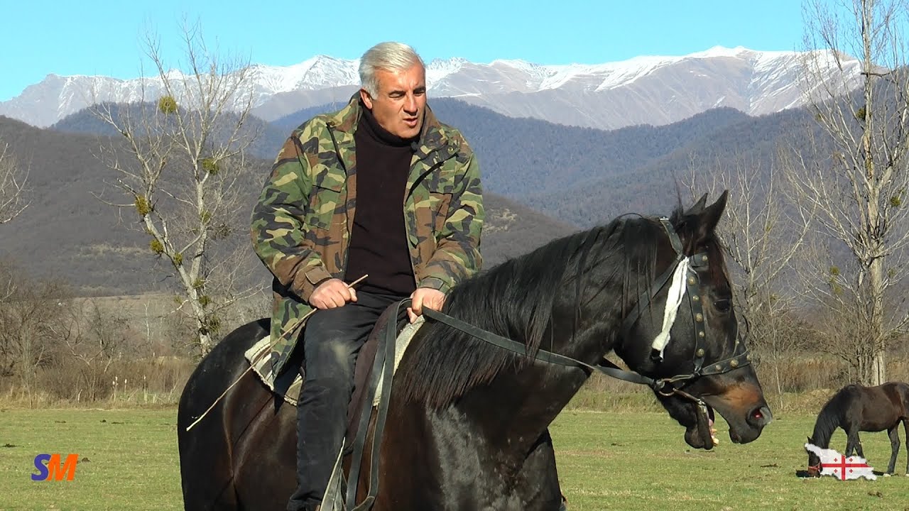 ცხენები და ჩემი ცხოვრება (III ნაწილი)