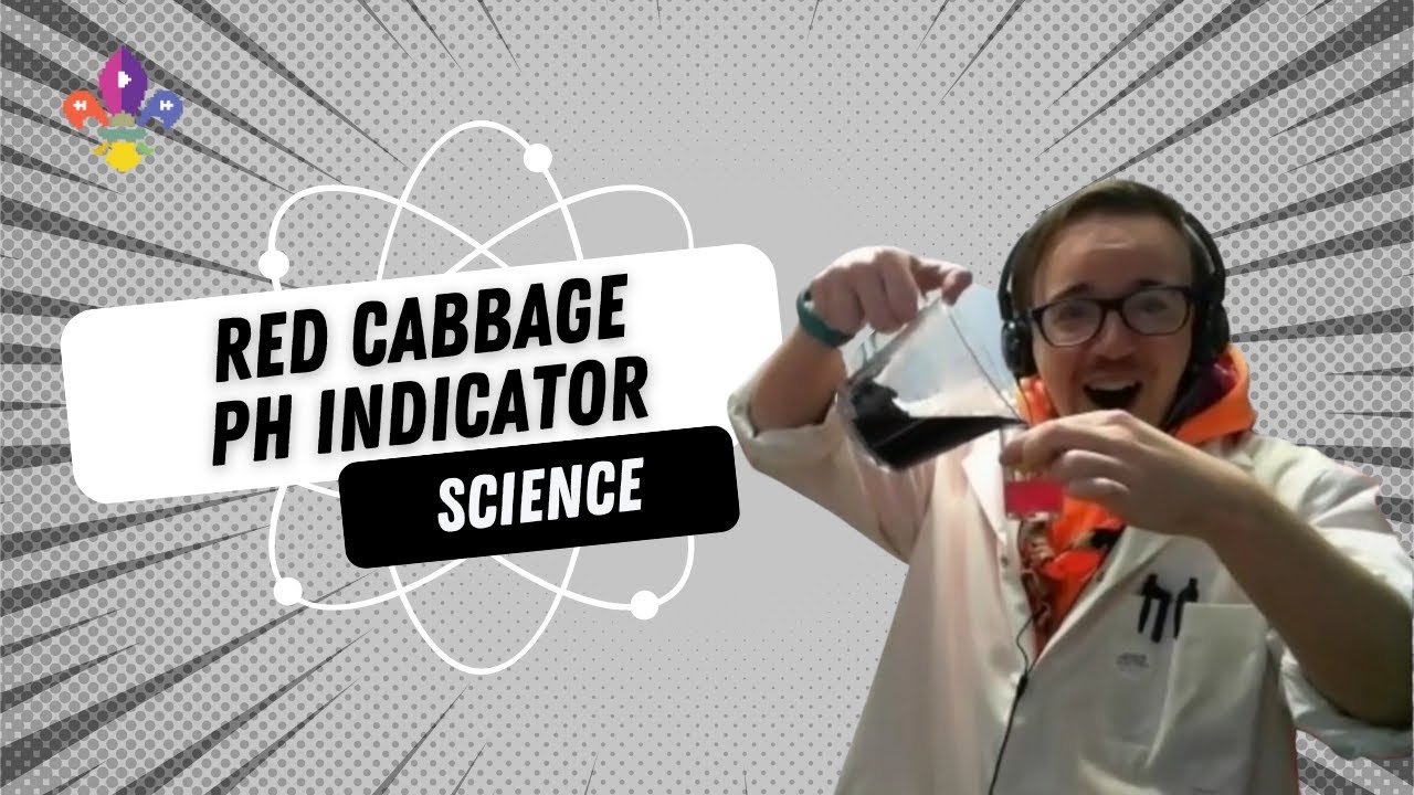 Red Cabbage pH Indicator | SCOUTADELIC #Science