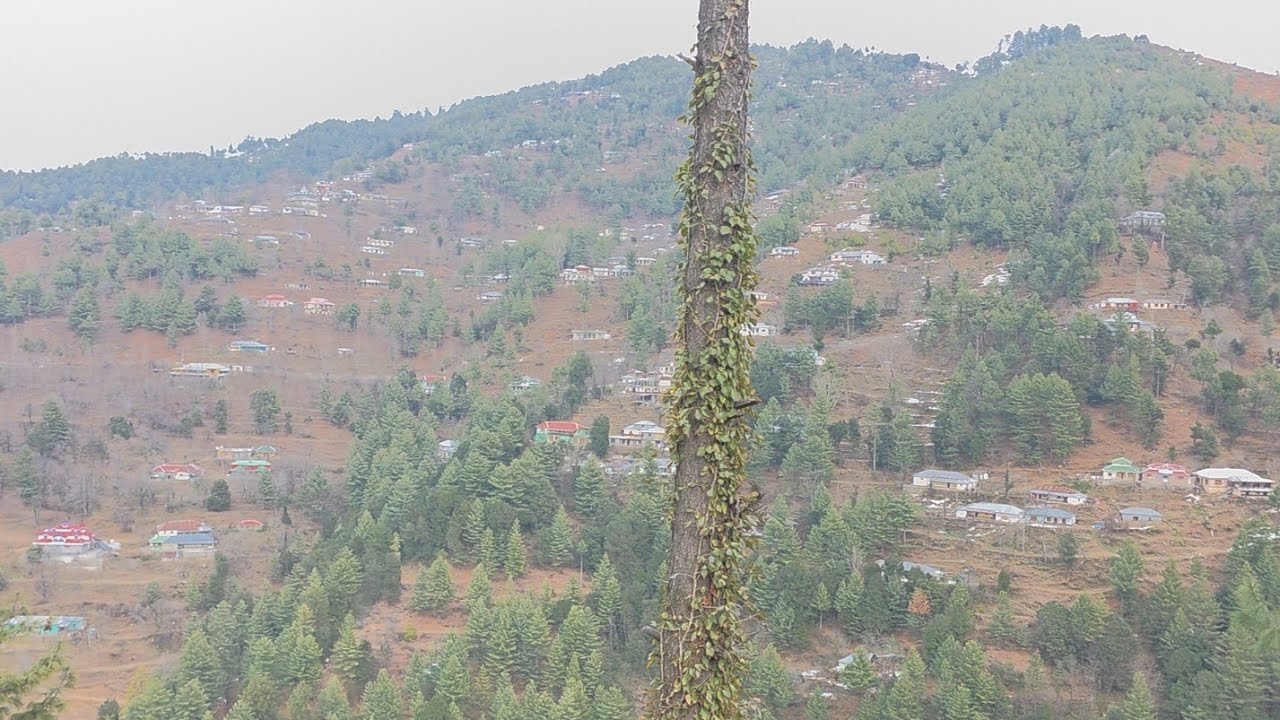 Home Town View 🌹 kargal view Beautifull kashmir 🍁 #Rangla #kashmir #shan vlog 