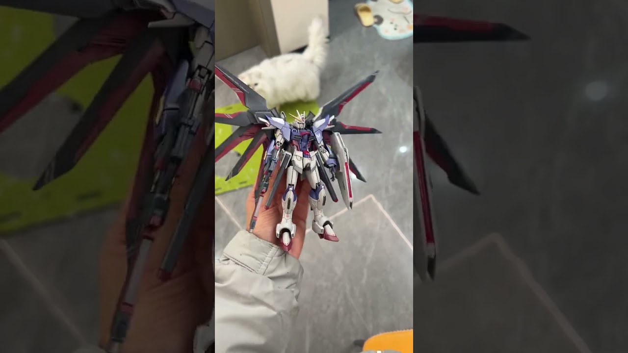 Rising Freedom Gundam - Destiny Color #gundam #gunpla #gunplacustom #gunplabuilder #gundamseed