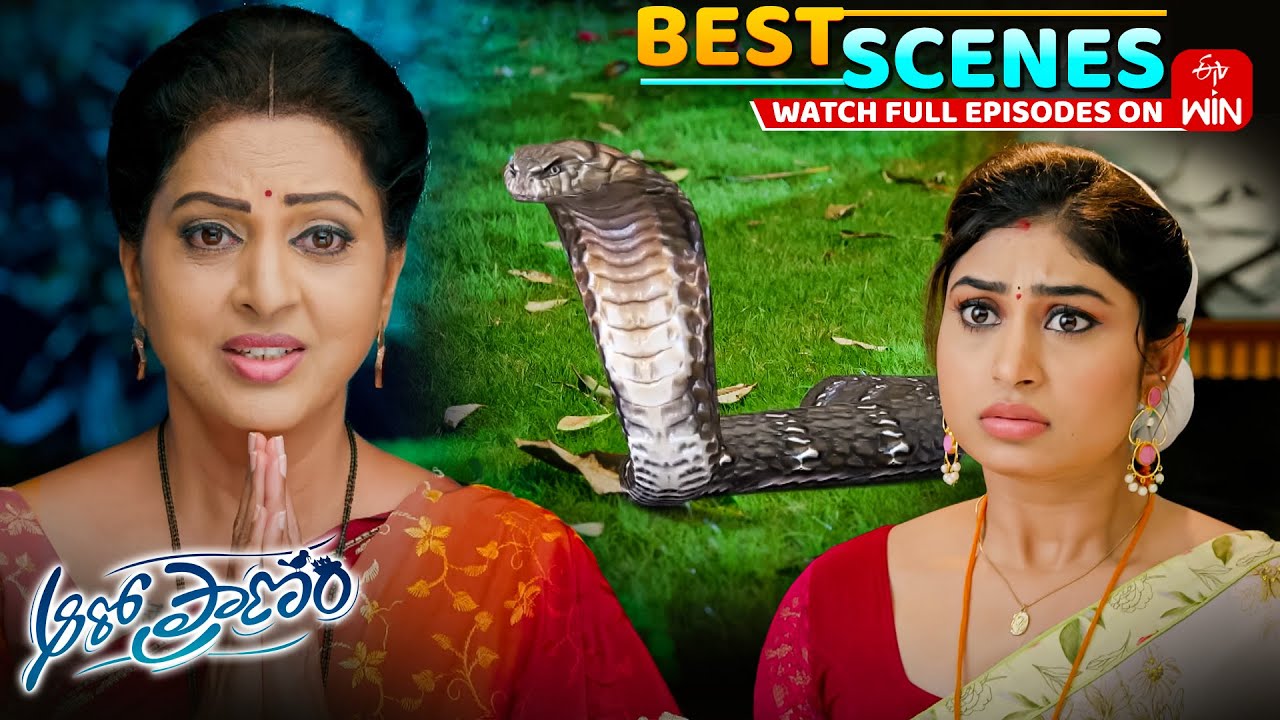 Aaro Pranam Best Scenes: 11th November 2025 Episode Highlights | Watch Full Episode on ETV Win