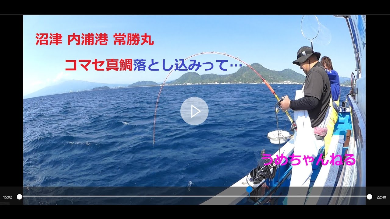コマセ真鯛釣り落とし込みって…常勝丸 沼津内浦 【コマセ真鯛釣り】