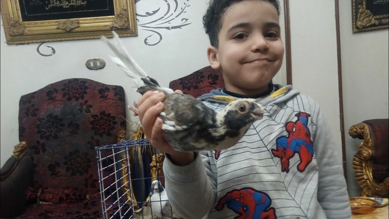 #تعالو_نشوف_انهي_احسن_الجديد_ولا_ القديم