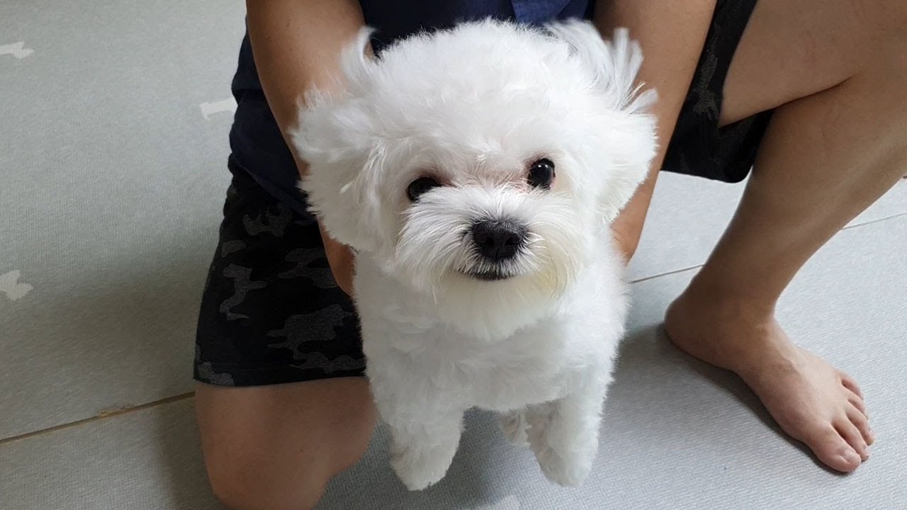 파티 시작 5분전입니다~!
