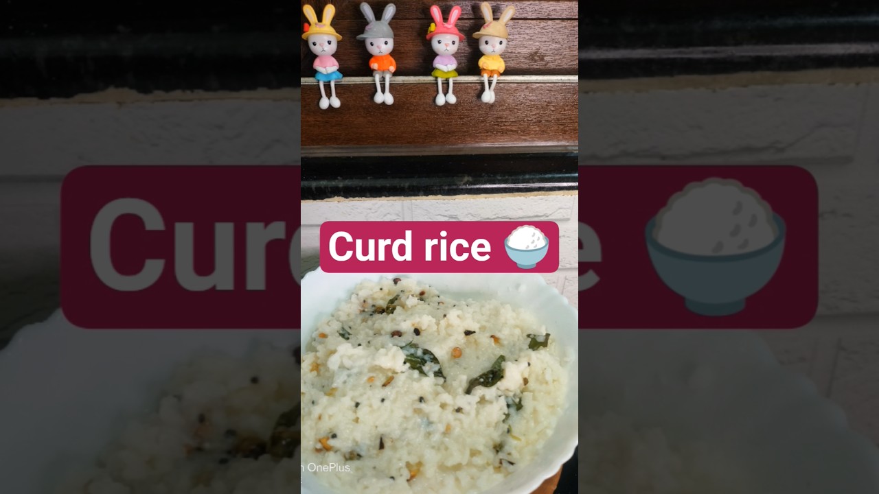 CURD RICE 🍚
