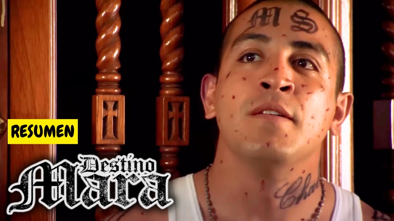 DESTINO MARA (RESUMEN)