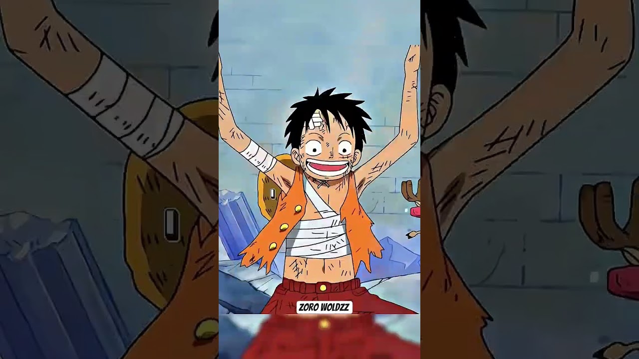 Zoro experience luffy's hell pain. 