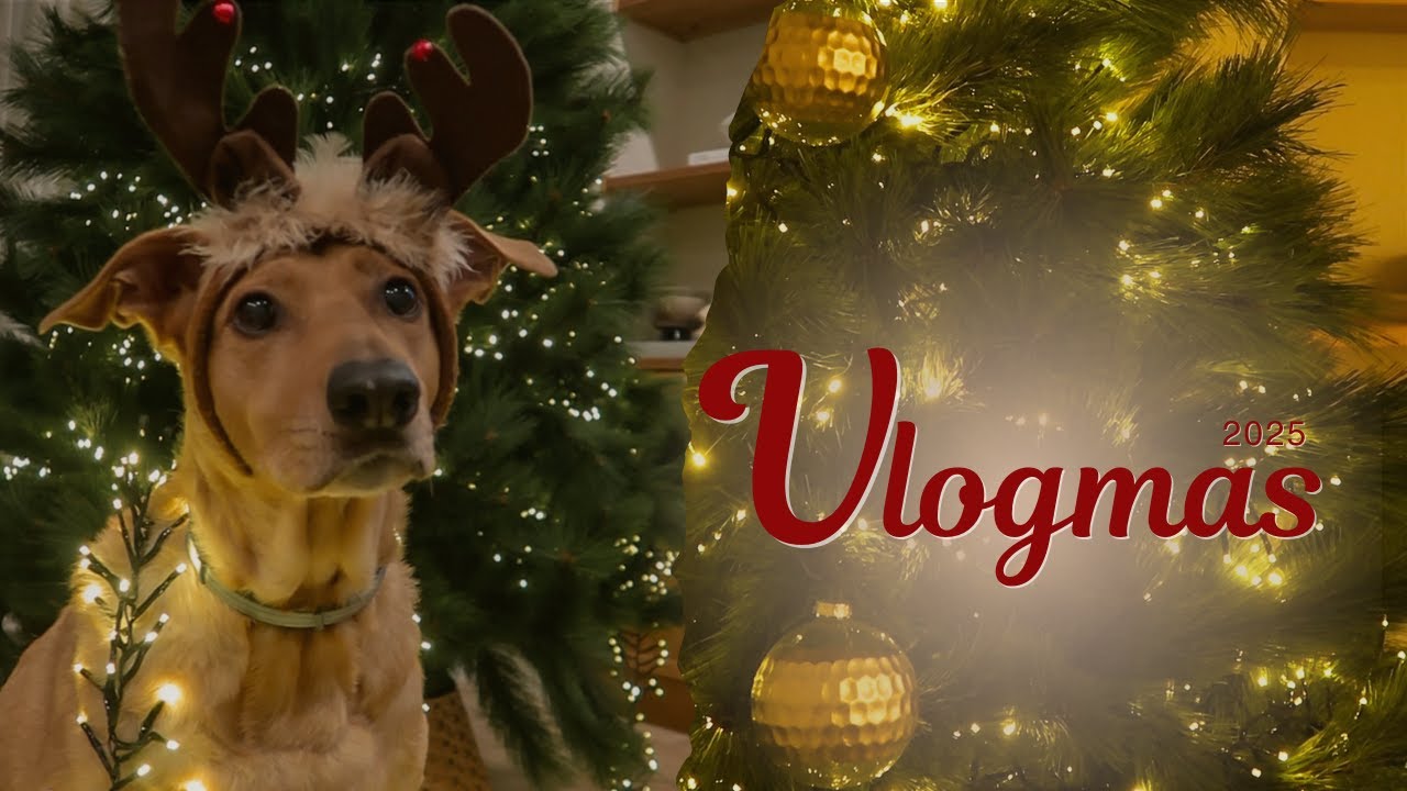 VLOGMAS 2025 🎅 | Montamos el árbol de navidad 🎄| FANNY TÓRTOLA