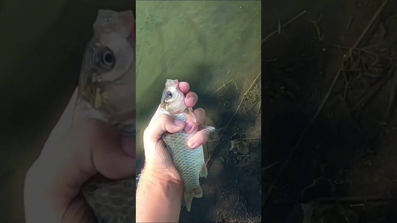 Great fishing in September