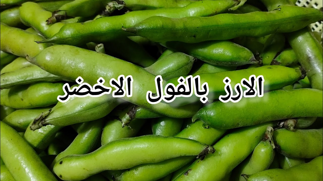 كشري الفول الاخضر 🫛🫛