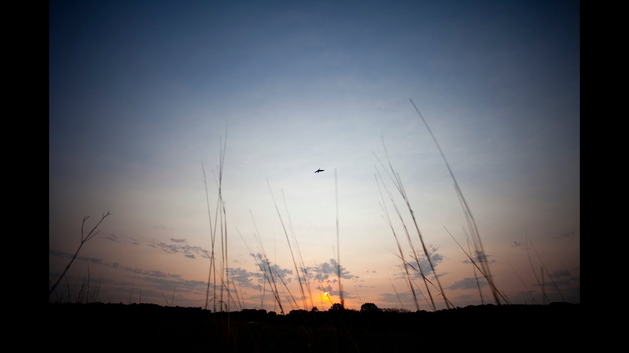Saving Cranes and So Much More: Our New 10-year Vision for Conservation Worldwide