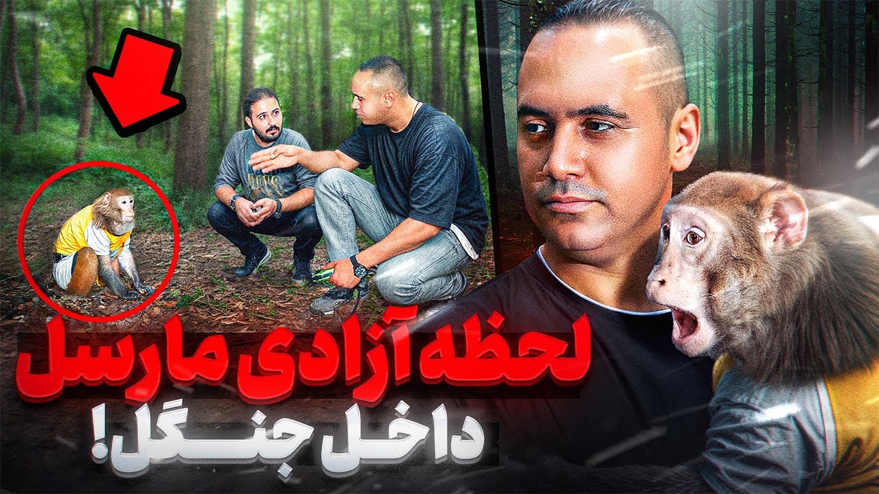 مارسل رو آزاد کردیم آیا بر میگرده ؟😨