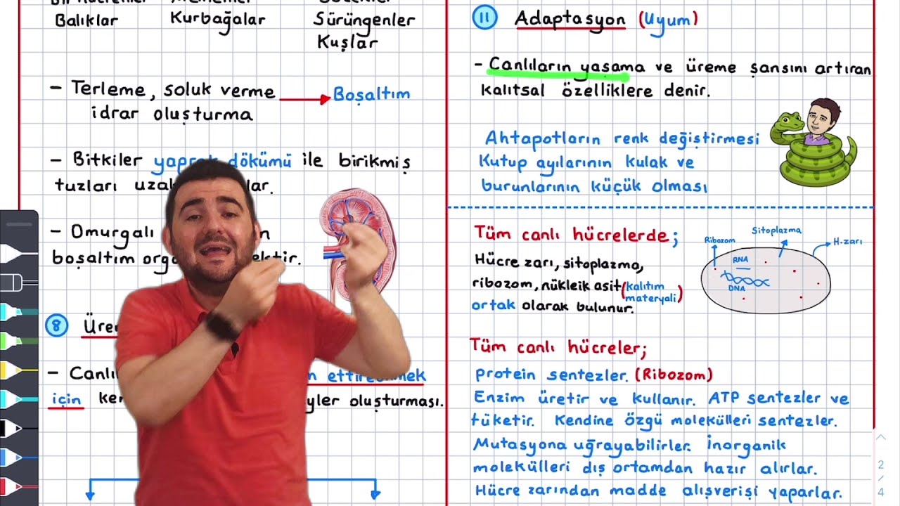 1-Canlıların Ortak Özellikleri Konu Anlatımı 9.sınıf biyoloji Tyt Biyoloji Konu anlatımı Yks 2023