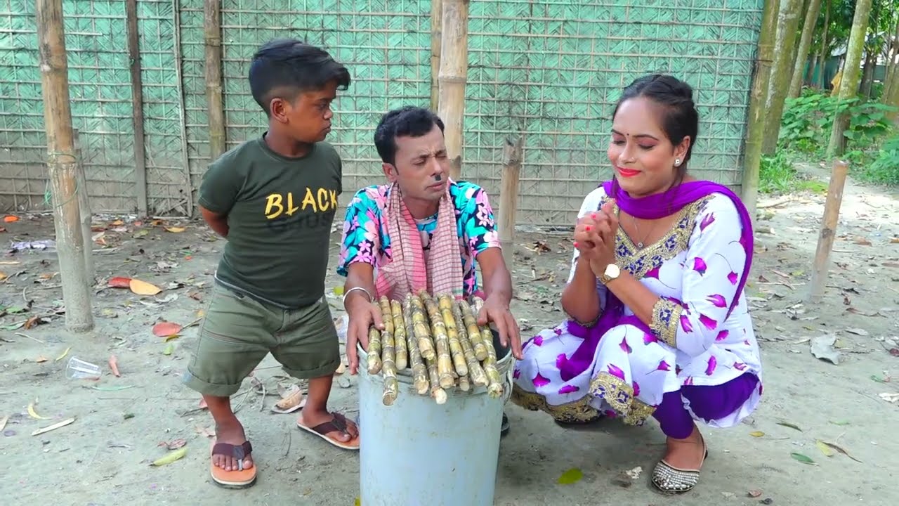 আলমগীরের আখের ব্যাবসা | Entertainment | Funny Video | Funny Alomgir24