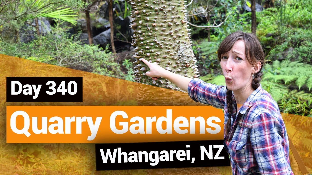 🌺 Whangarei Quarry Gardens – New Zealand's Biggest Gap Year – Backpacker Guide New Zealand