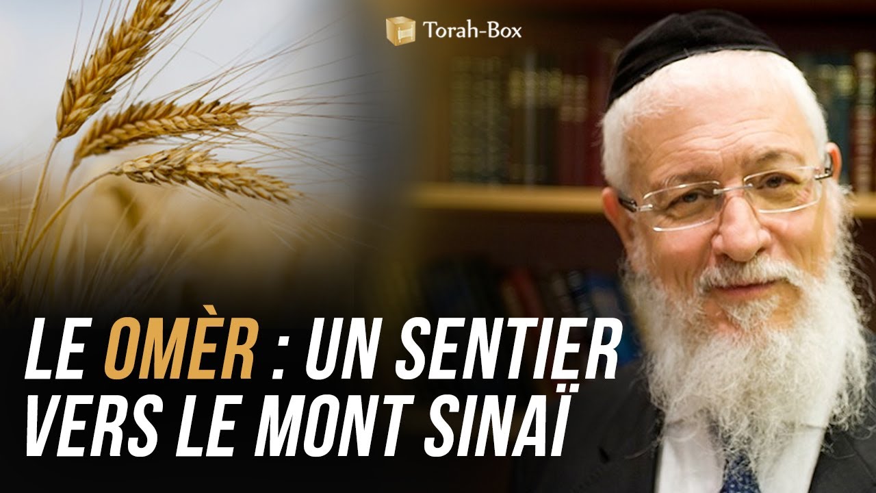 LE OMÈR 🌾 UN SENTIER VERS LE MONT SINAÏ (GRAND-RABBIN SITRUK)
