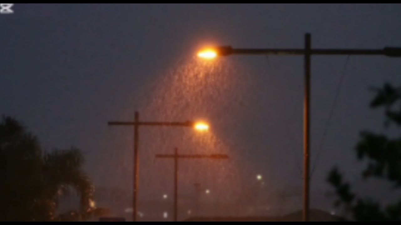 Rainy Night Drive Ambience | Streetlights, Wind, and Wet Asphalt Aesthetic