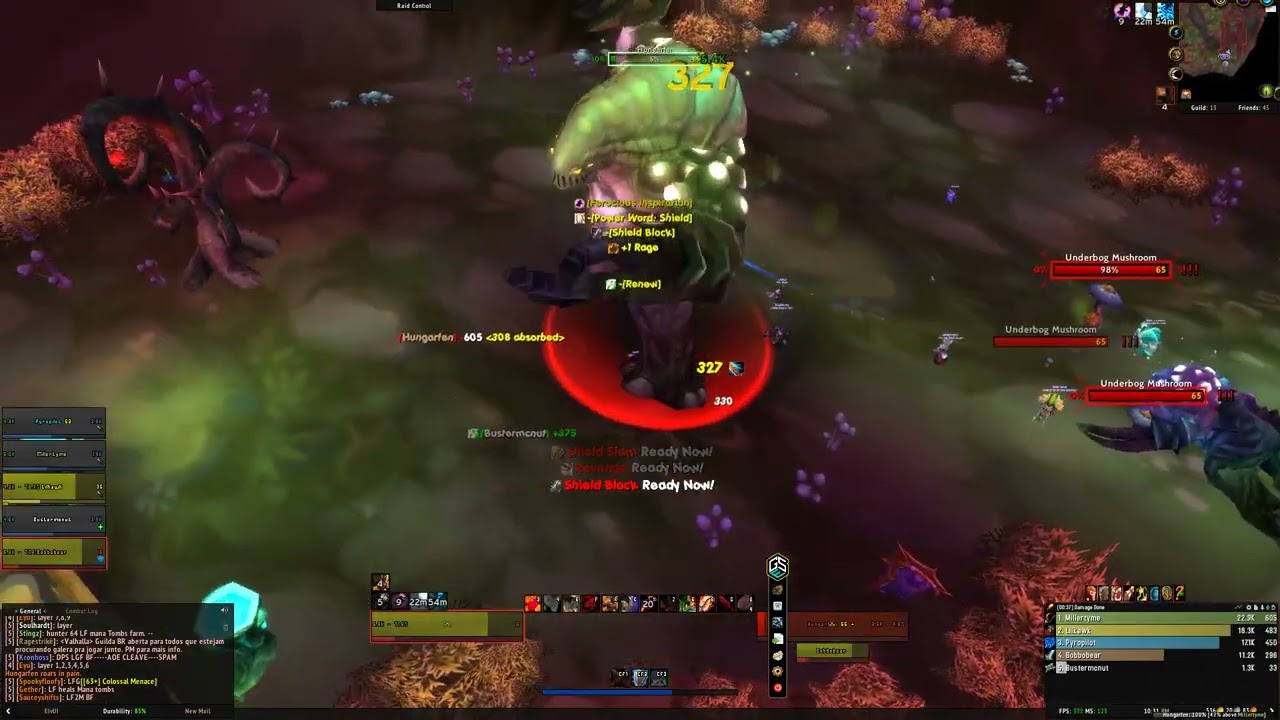 TBC Classic Prot Warrior Tank Underbog