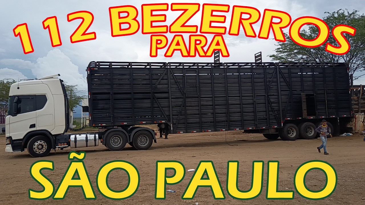 112 BEZERROS PARA SÃO PAULO