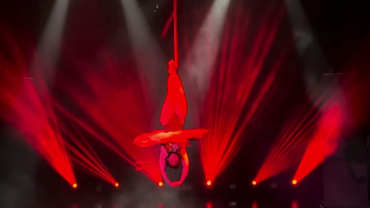 Aerial Straps | Firestarter