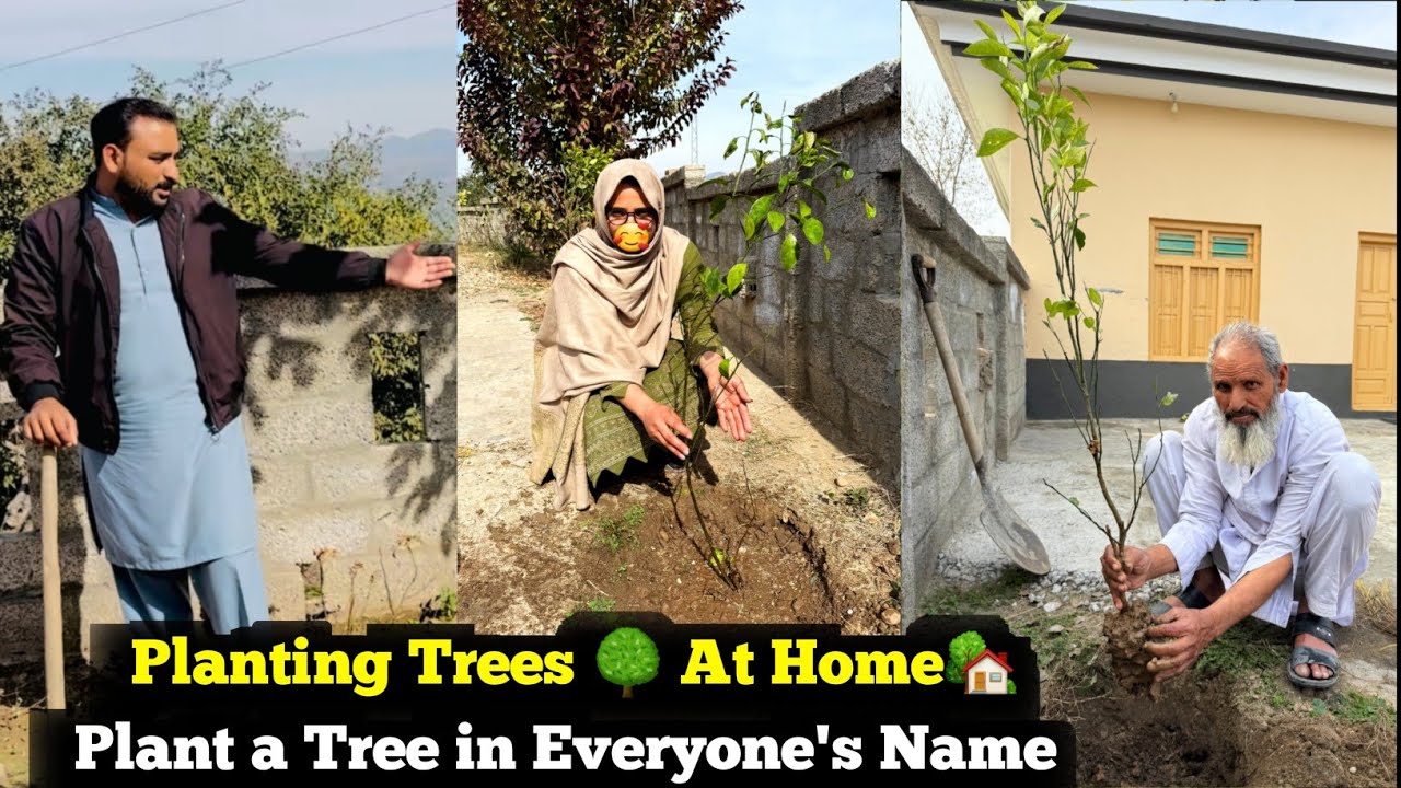 Planting Trees 🌳 at Home🏡|| Everyone Planted a Tree Named After Themselves at Home || Family Vlog ||