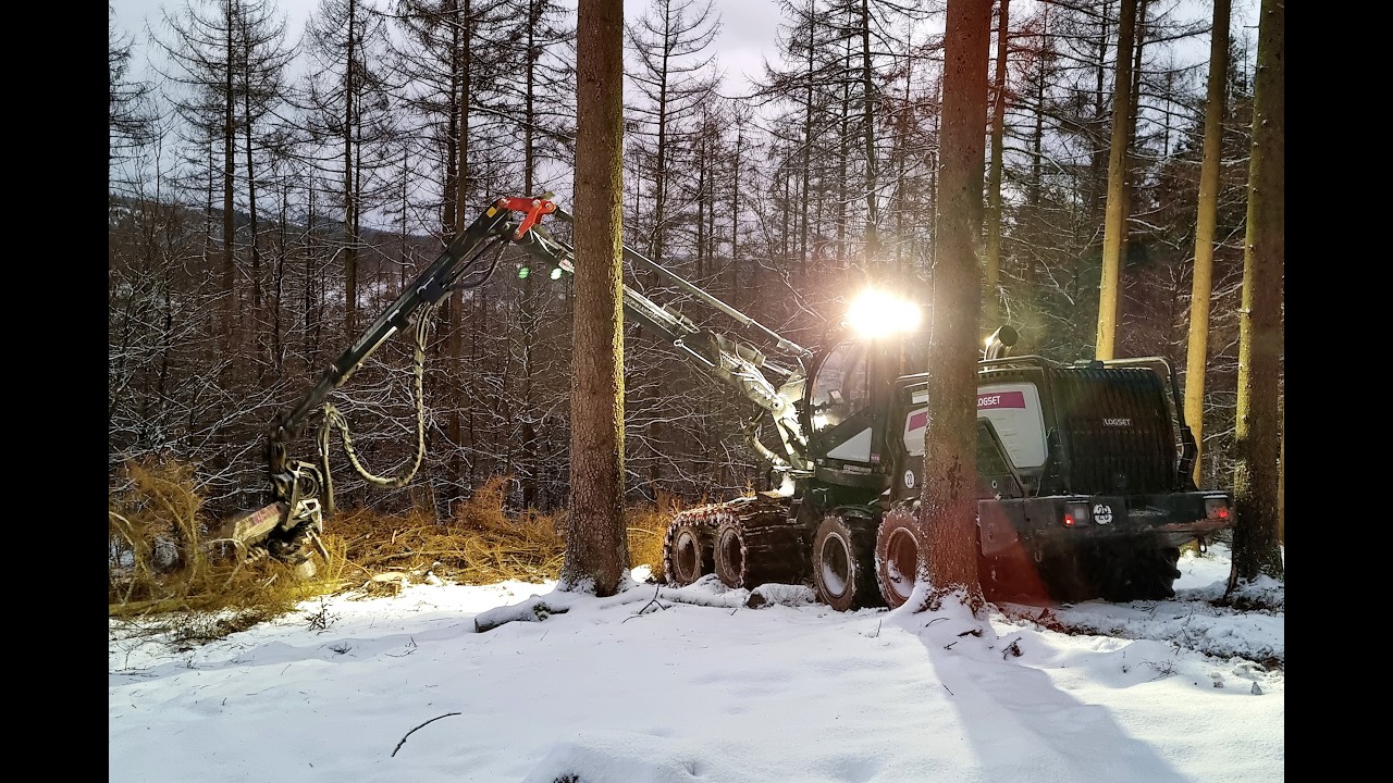 🌲*SnowLogging* • Logset 6HP GTE • *CabView* • Loggingvideo • HarvesterAction🌲