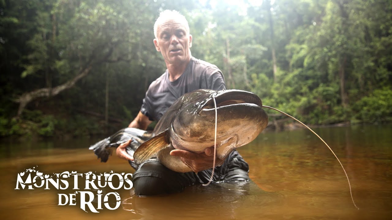 El Monstruo del Lago Kenyir: Un Viejo Adversario | T9 E04 | Monstruos de Río