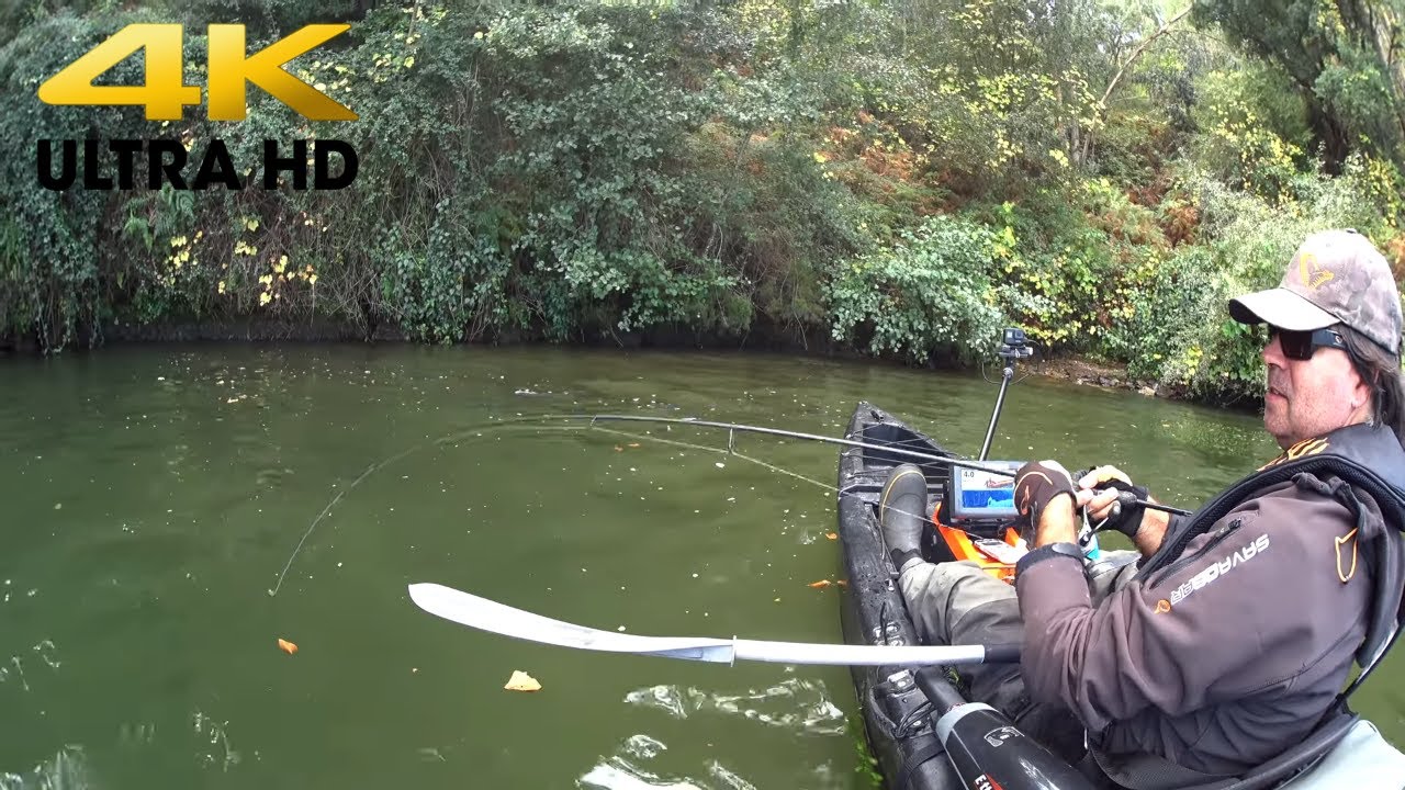 Incr&iacute;veis fisgadas de #pesca em directo  (4K ULTRA HD)