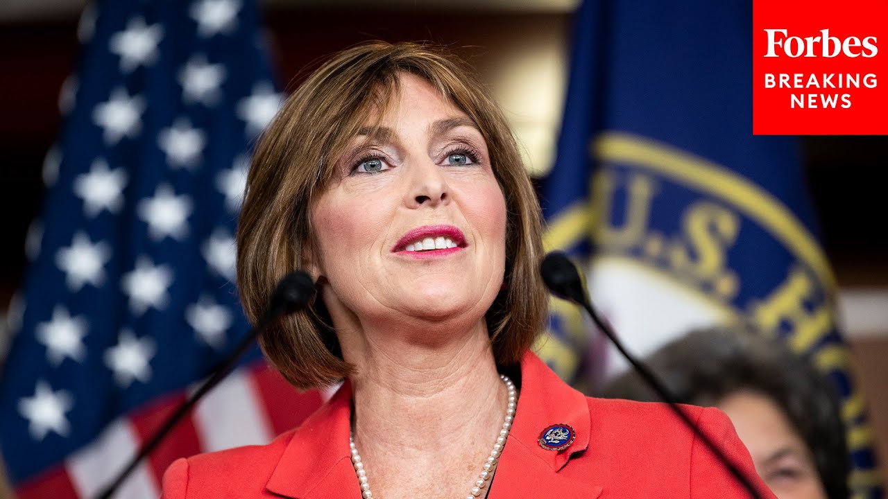 Kathy Castor Refutes Argument That Clean Energy Is More Expensive