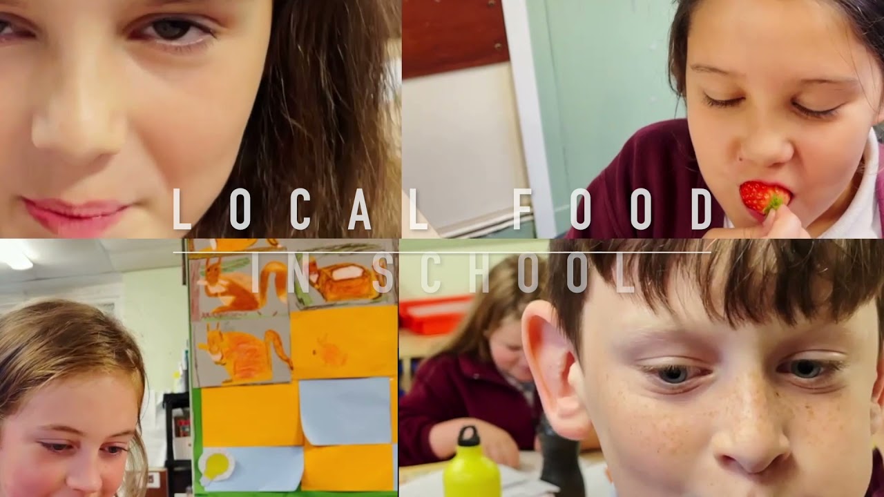 Northmuir Primary School Learning for Sustainability