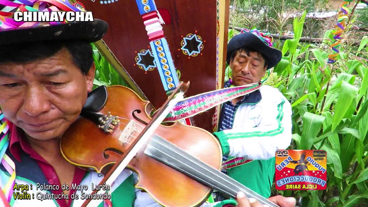 HERMOSO CHIMAYCHA CON QUINTO DE SONDONDO