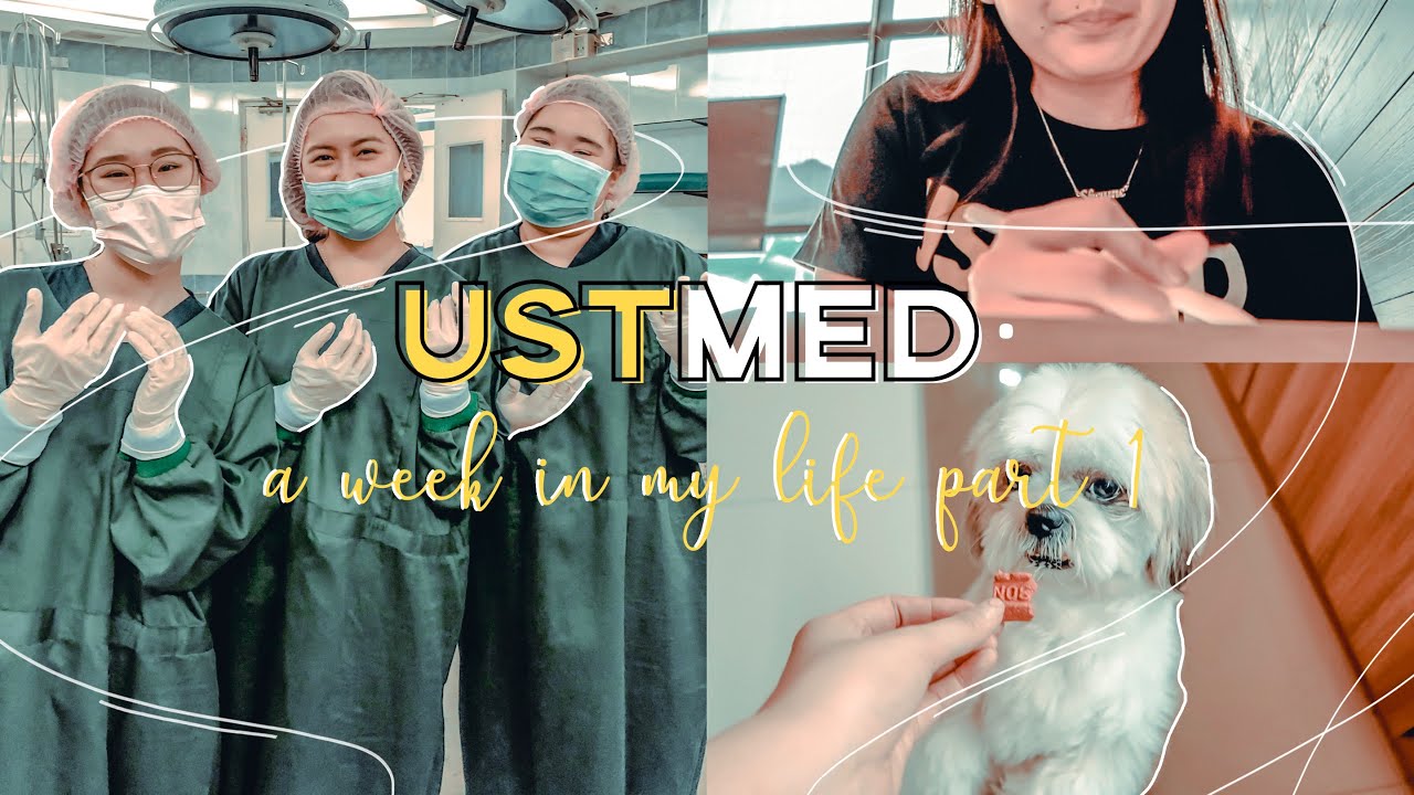 USTMed Ep3: WEEK IN THE LIFE OF A 2ND YEAR MEDICAL STUDENT PT. 1 (Philippines) | Shayne Uy