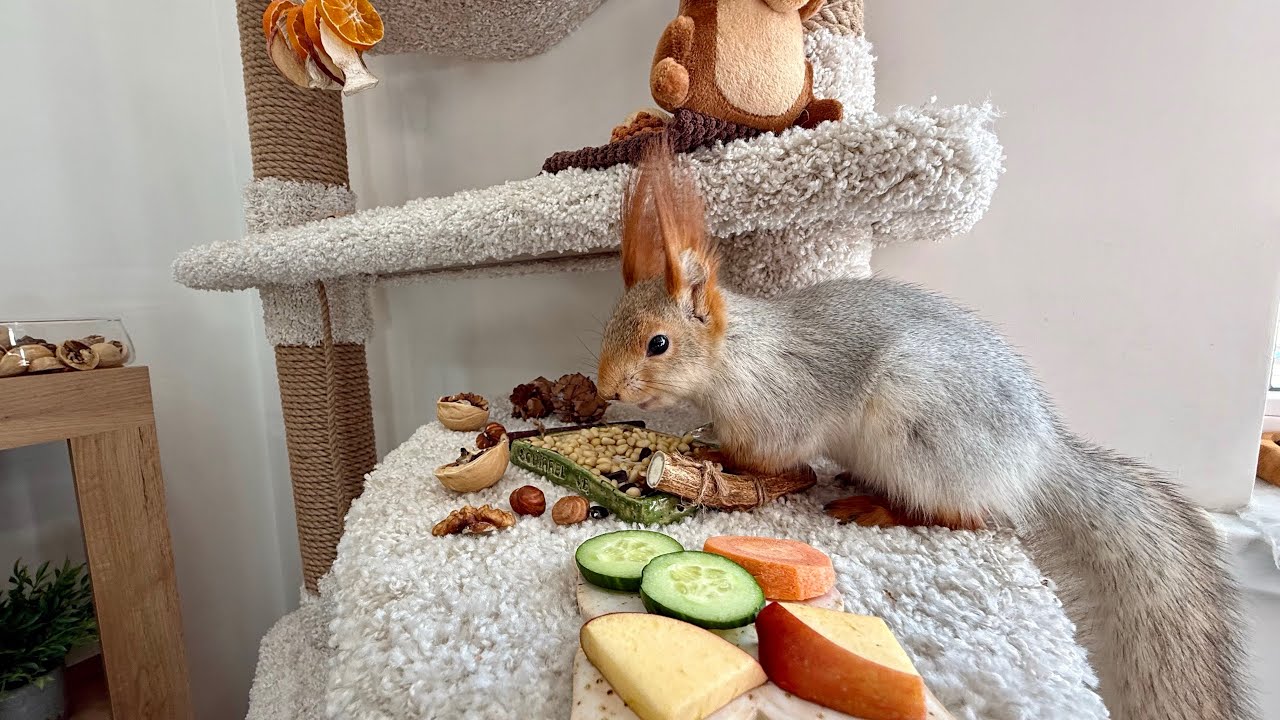 Delicious Breakfast with Fresh Pine Nuts