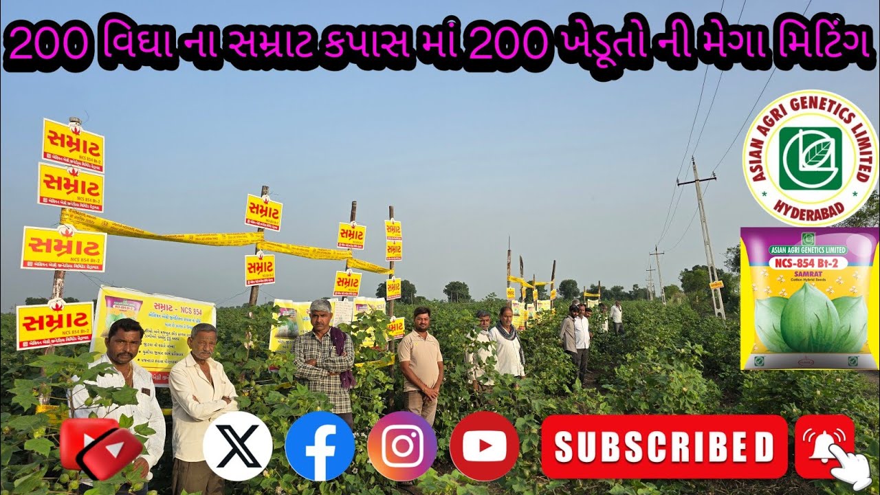200 વિઘા ના સમ્રાટ કપાસ માં 200 ખેડૂતો ની મેગા મિટિંગ #agriculture #farmer #farming #cotton 