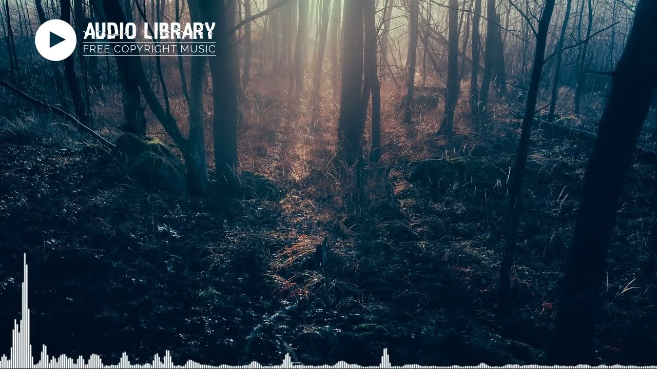 Audio libre de droit d&rsquo;auteur /@audiolibrary_ @togchov7047 @MrBeast @wilmixprodoriginal @JfbTV