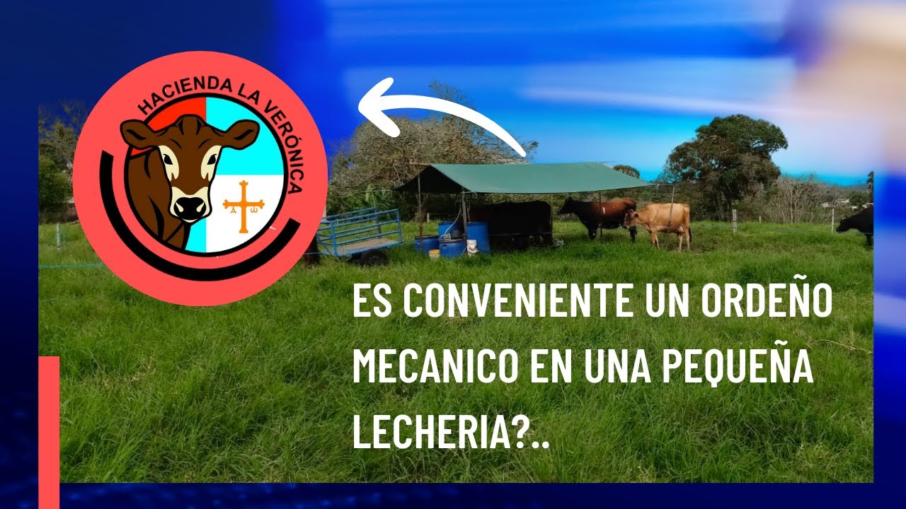 ES CONVENIENTE UN ORDEÑO MECANICO EN UNA PEQUEÑA LECHERIA?..