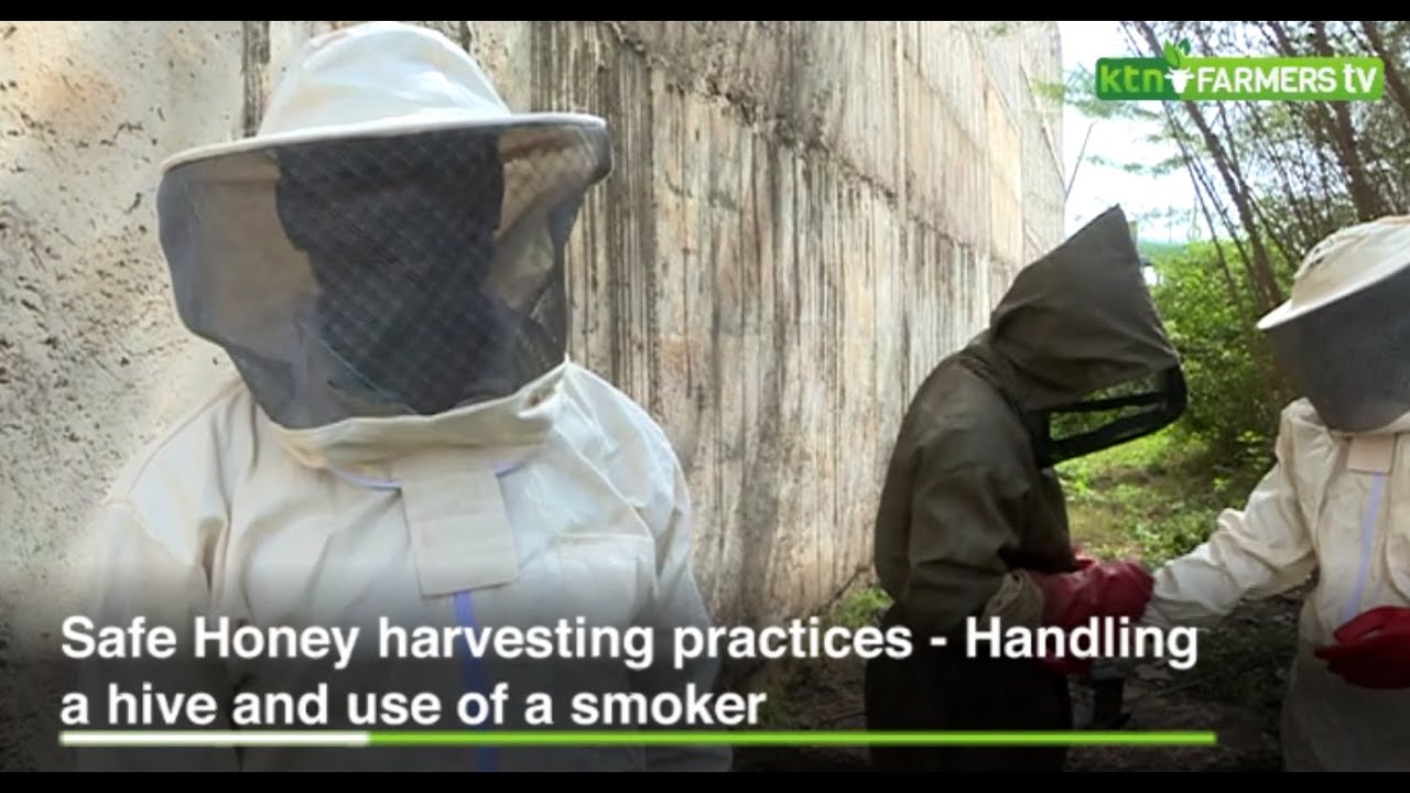 Safe Honey harvesting practices |Handling a hive and use of a smoker|