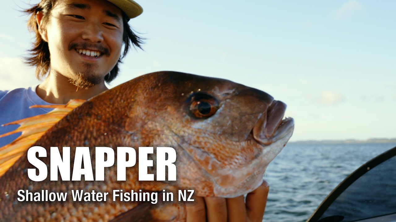 This is New Zealand's Most Iconic Fish | Wild North Addiction