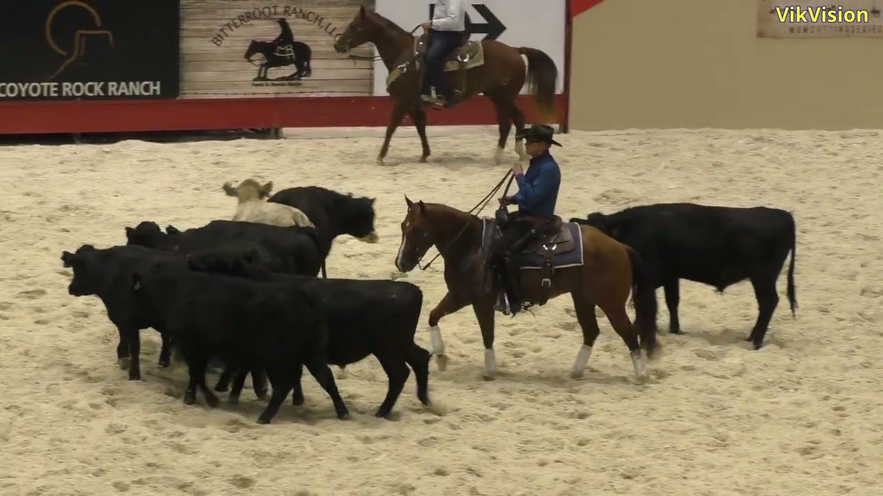 Cutting Horses Set 1 at South Point Arena - 2025-09-24