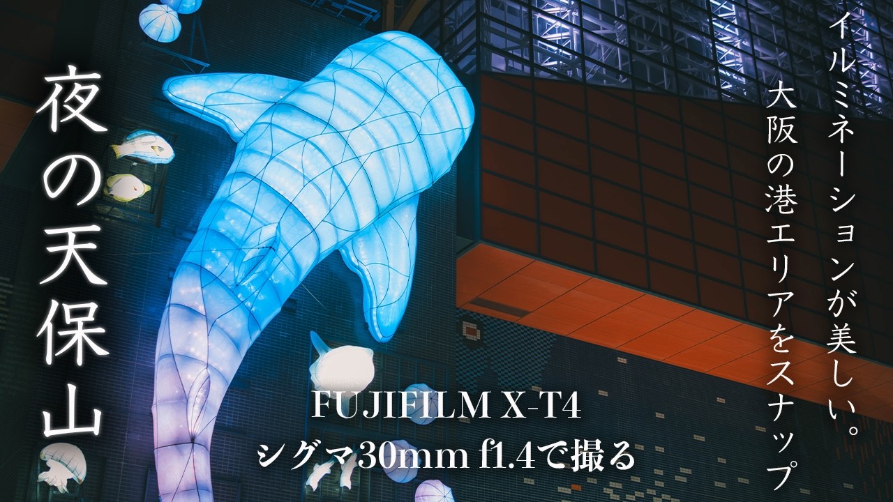 大阪の天保山にてキラキラ輝く夜景をフォトスナップする男！【FUJIFILM X-T4 | SIGMA 30mm F1.4】