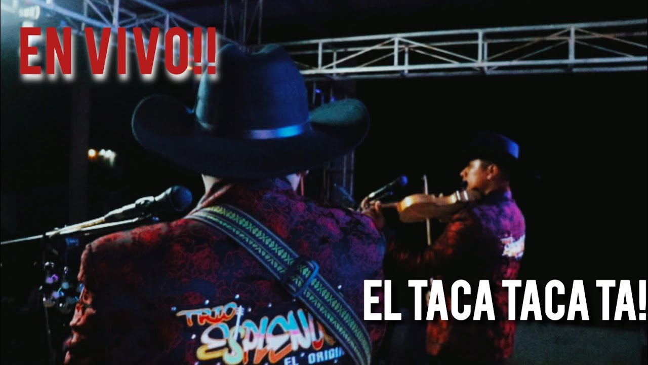 EL TACA TACA TA 🎻🎬 TRIO ESPLENDOR EL ORIGINAL 🎧 EN VIVO 2024