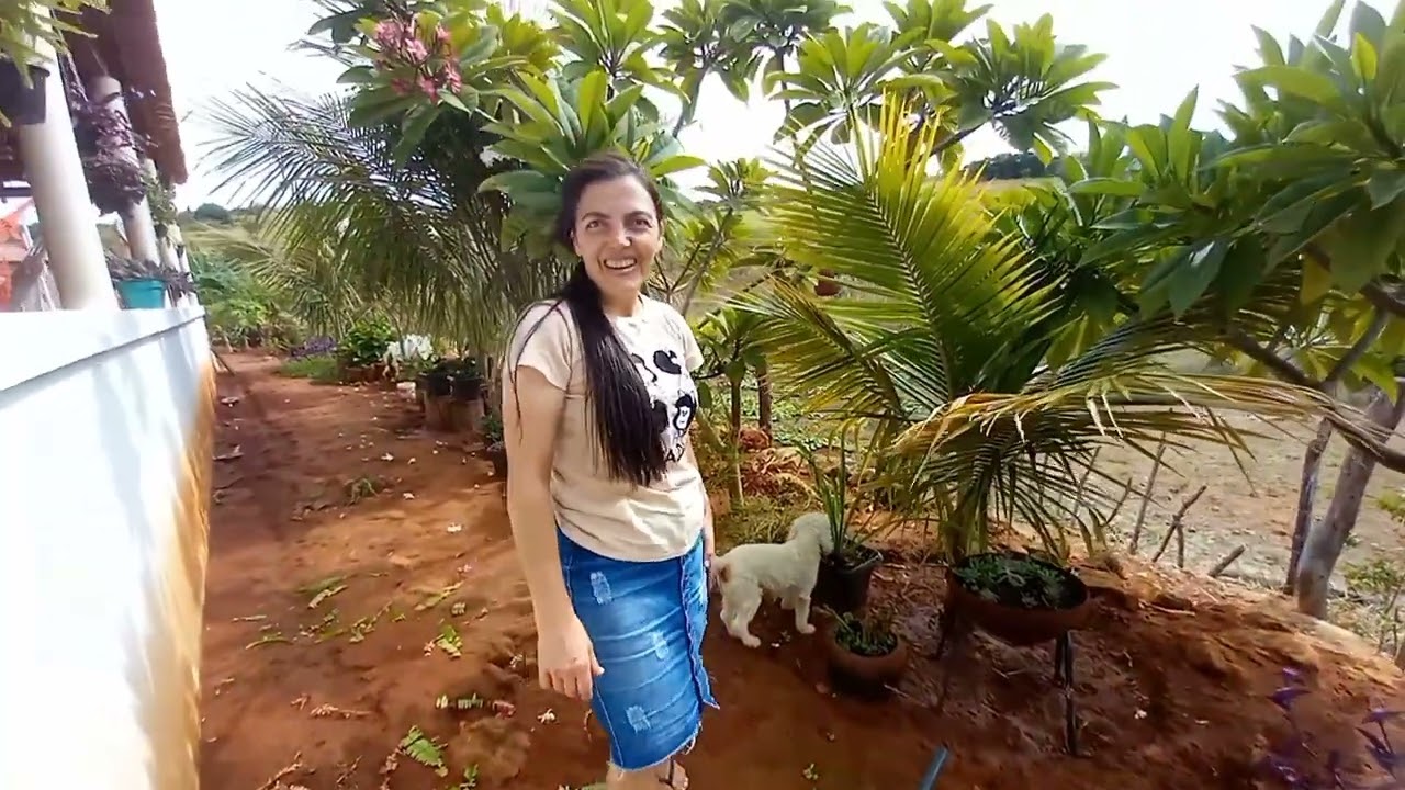 NOSSO DIA NO SÍTIO/TUDO AQUI JA FOI UM SONHO 