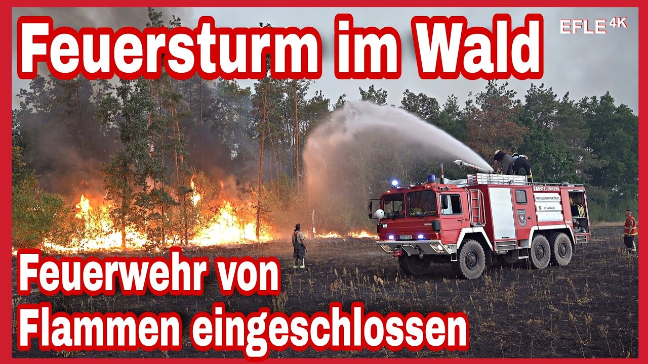 Waldbrand bei Falkenberg/Elster gerät außer Kontrolle/Feuerwehr muss sich vor dem Feuersturm retten