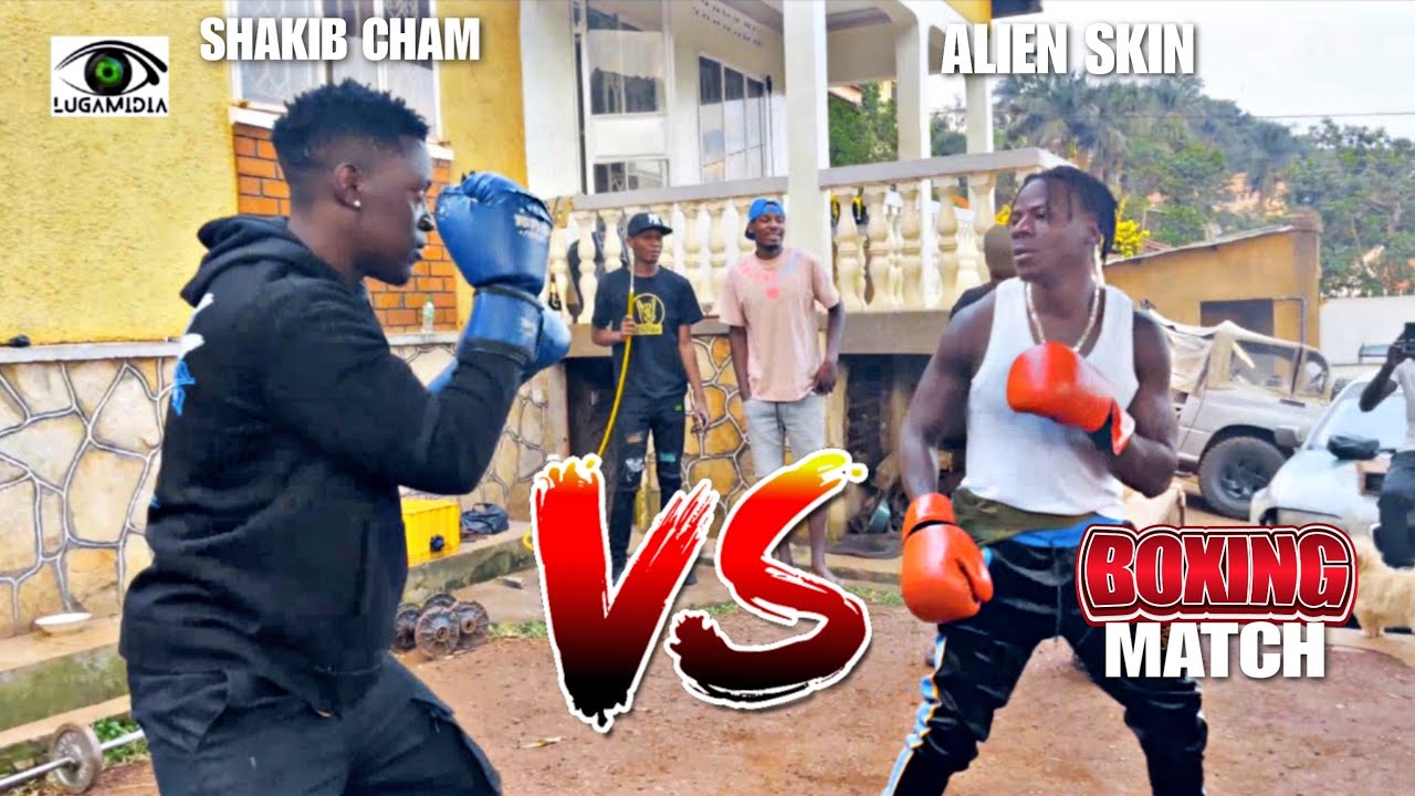 Alien skin Vs Shakib cham, Zari's Boyfriend (Boxing Match )