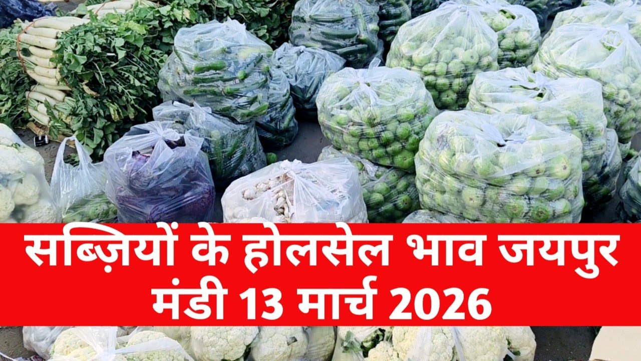 13 मार्च 2026 सब्जियों के होलसेल भाव जयपुर मंडी | आज सब्जियों का भाव | Jaipur Vegetable Market