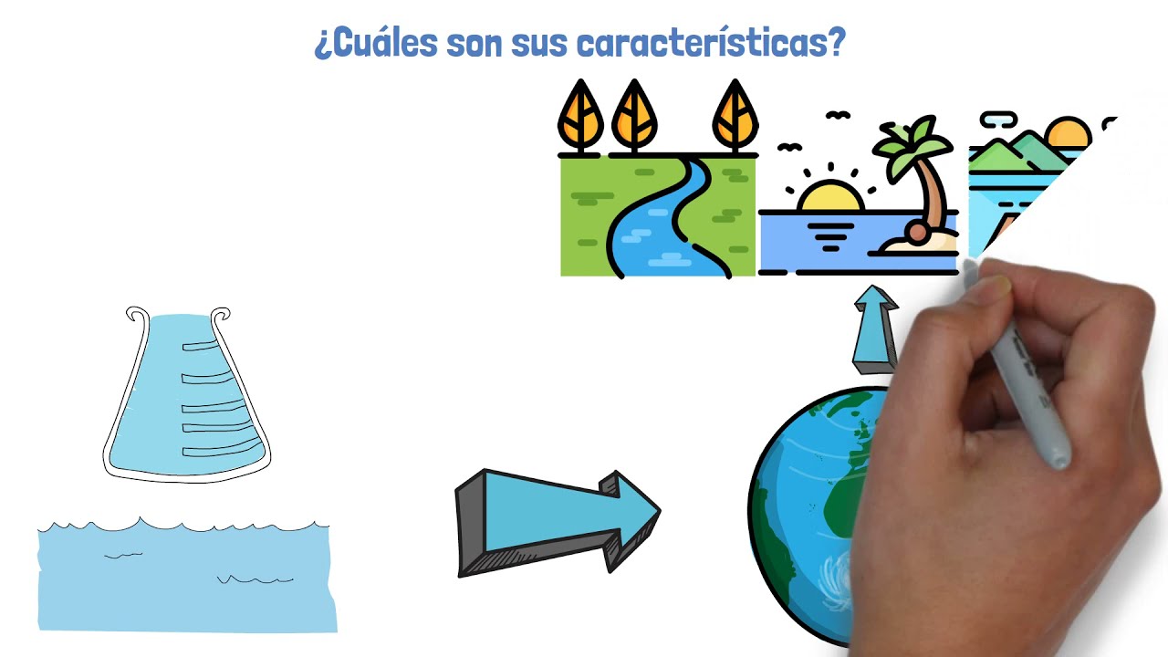 El ecosistema acuático 🏞️🌊🏜️