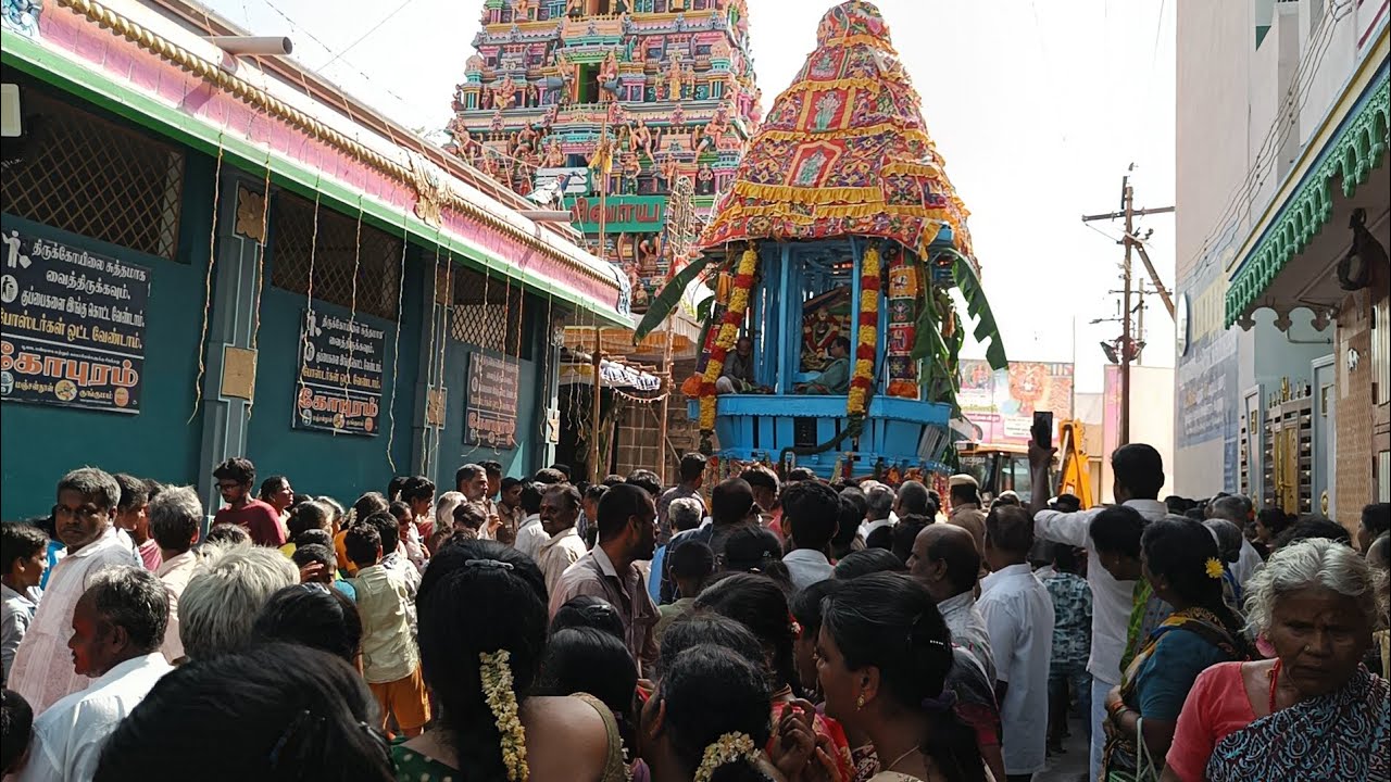 தேர் திருவிழா 🎉 பட்சீஸ்வரர் சுவாமி வீதி உலா 🙏 காலை & மாலை 🎉முழு வீடியோ 👍@cheyyarsiva